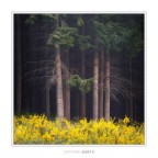 Becoming aware Becoming aware