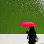 Oggi vado in piazza Oggi vado in piazza