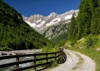 cartolina dalla Valmalenco