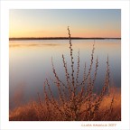 Il roveto...ardente Il roveto...ardente