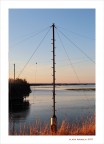 L'albero...della cuccagna