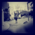 N.ro 3