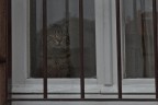 un Gatto che guarda il mondo fuori da una finestra con le sbarre sembrava un po triste..
Critiche e commenti sono sempre ben accetti