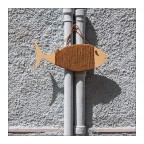 un pesce fuor d'acqua un pesce fuor d'acqua