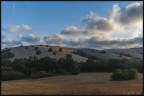 Maremma