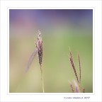 Tavolozza di colori... in libertà Tavolozza di colori... in libertà