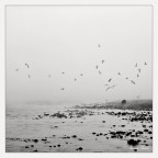 Ticino d'inverno Ticino d'inverno