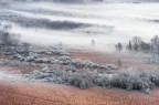 Brume