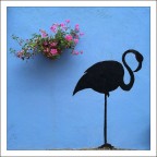 Flamingo (on) road Flamingo (on) road