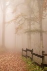 senza titolo