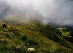 l'attesa l'attesa