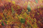 St