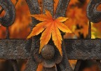 Autunno