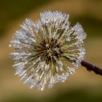 Fuoco d'artificio della natura Fuoco d'artificio della natura