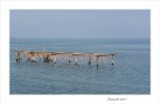 Sacca degli Scardovari Sacca degli Scardovari
