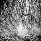 Verso il cielo Verso il cielo