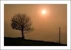 Solitudine
