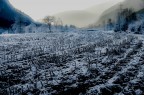 terre fredde terre fredde