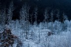terra di mezzo terra di mezzo
