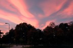 "9 ottobre 2017. Tramonto al Parco Forlanini "9 ottobre 2017. Tramonto al Parco Forlanini