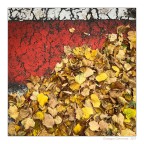 Bianco rosso e giallo Bianco rosso e giallo