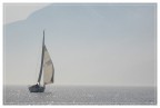 Navigatore solitario... Navigatore solitario...
