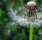 nessun titolo nessun titolo