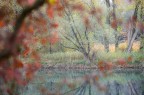 Autunno