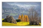 paesaggio autunnale paesaggio autunnale