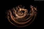 Parsons Dance Through My Lens Parsons Dance Through My Lens