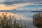 Waves of lake