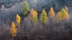 Alta Valle dell'Agno (VI), novembre 2017