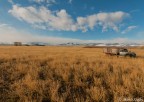 A truck stuck in a Wyoming field A truck stuck in a Wyoming field