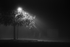 La magia della nebbia La magia della nebbia