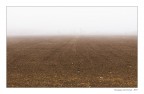 Terra