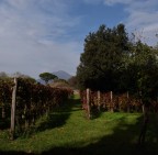Il Vesuvio visto dagli scavi di Pompei Il Vesuvio visto dagli scavi di Pompei