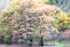 Autumnal impression II Autumnal impression II