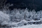 ice field