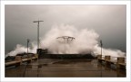 ...spuma bianca gi.
La brutale potenza che s'ingentilisce in una candida esplosione di vita.

Dedicata a chi ama il mare, senza se e senza ma.