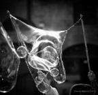 bolla gigante bolla gigante