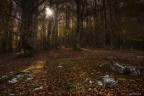 AUTUNNO AUTUNNO