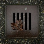 Una brutta fine Una brutta fine