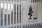 L'altro mare img.078