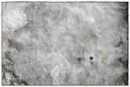 Murale img.016