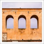 Rigore mediceo Rigore mediceo