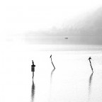 Veduta sul lago di Garlate Veduta sul lago di Garlate