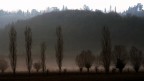 Colli Berici