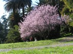 Mamma e bimbi sotto la primavera d'Inverno Mamma e bimbi sotto la primavera d'Inverno