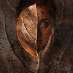 penultima stagione penultima stagione