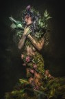 forest spirit forest spirit